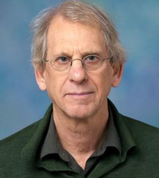 David Biale Portrait