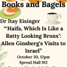 flier for dr eisinger's talk